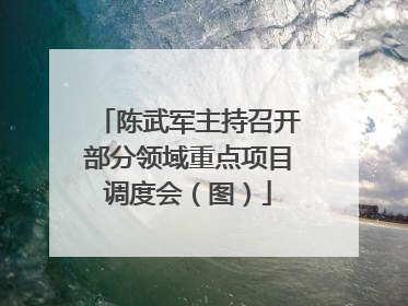 陈武军主持召开部分领域重点项目调度会（图）
