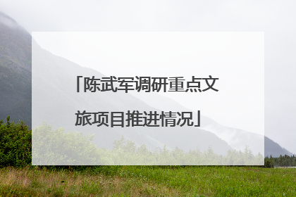 陈武军调研重点文旅项目推进情况