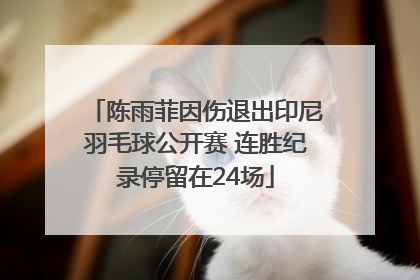 陈雨菲因伤退出印尼羽毛球公开赛 连胜纪录停留在24场