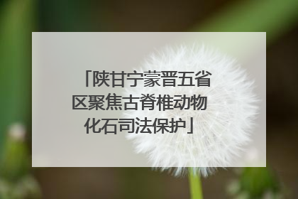 陕甘宁蒙晋五省区聚焦古脊椎动物化石司法保护