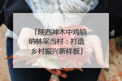 陕西神木中鸡镇纳林采当村：打造乡村振兴新样板