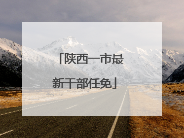 陕西一市最新干部任免