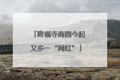 隆福寺商圈今起又多一“网红”