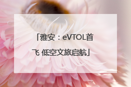 雅安：eVTOL首飞 低空文旅启航
