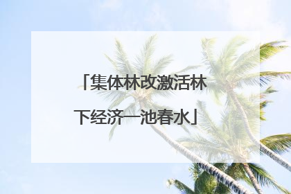 集体林改激活林下经济一池春水