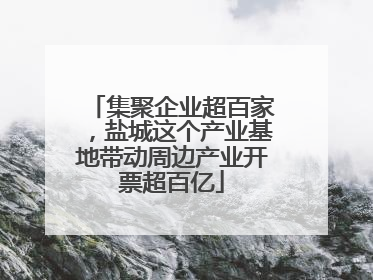集聚企业超百家，盐城这个产业基地带动周边产业开票超百亿