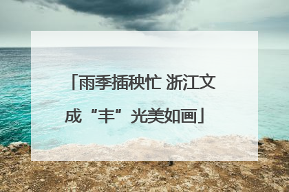 雨季插秧忙 浙江文成“丰”光美如画