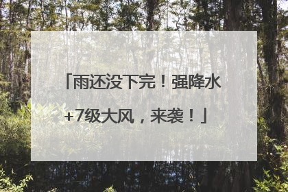 雨还没下完！强降水+7级大风，来袭！