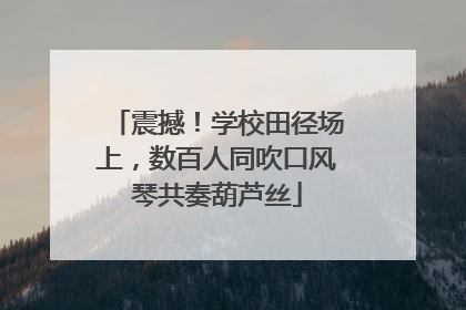 震撼！学校田径场上，数百人同吹口风琴共奏葫芦丝