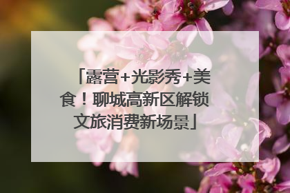 露营+光影秀+美食！聊城高新区解锁文旅消费新场景