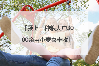 颍上一种粮大户3000余亩小麦喜丰收