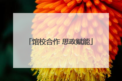 馆校合作 思政赋能
