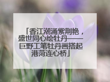 香江潮涌紫荆艳，盛世同心绘牡丹——巨野工笔牡丹画搭起港菏连心桥