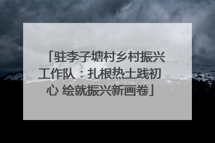 驻李子塘村乡村振兴工作队：扎根热土践初心 绘就振兴新画卷