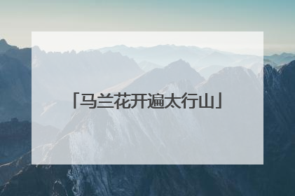马兰花开遍太行山