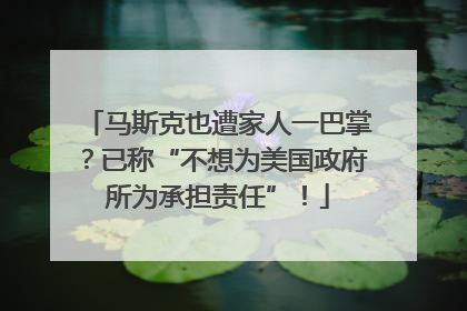 马斯克也遭家人一巴掌？已称“不想为美国政府所为承担责任”！