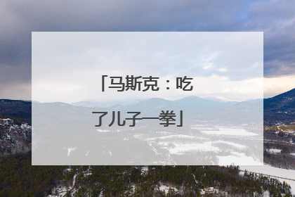 马斯克：吃了儿子一拳