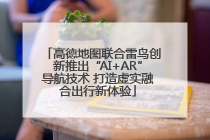高德地图联合雷鸟创新推出“AI+AR”导航技术 打造虚实融合出行新体验
