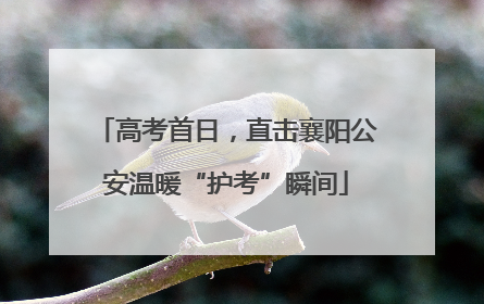 高考首日，直击襄阳公安温暖“护考”瞬间