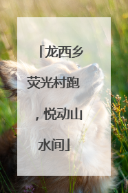 龙西乡荧光村跑，悦动山水间