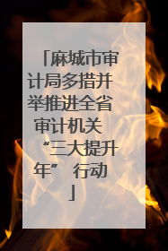 麻城市审计局多措并举推进全省审计机关 “三大提升年” 行动