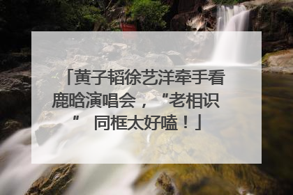 黄子韬徐艺洋牵手看鹿晗演唱会，“老相识” 同框太好嗑！