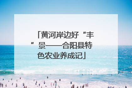 黄河岸边好“丰”景——合阳县特色农业养成记