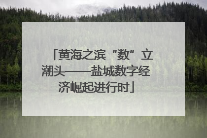 黄海之滨“数”立潮头——盐城数字经济崛起进行时