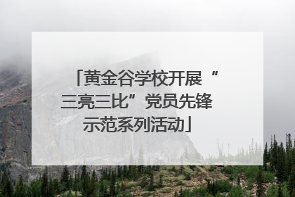 黄金谷学校开展“三亮三比”党员先锋示范系列活动