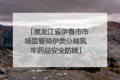 黑龙江省伊春市市场监管局伊美分局筑牢药品安全防线