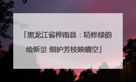 黑龙江省桦南县：精修绿韵绘新景 细护芳枝映晴空