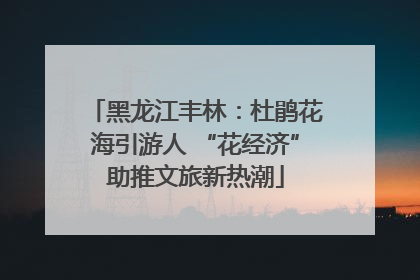 黑龙江丰林：杜鹃花海引游人 “花经济”助推文旅新热潮