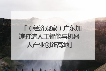 （经济观察）广东加速打造人工智能与机器人产业创新高地