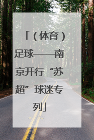 （体育）足球——南京开行“苏超”球迷专列