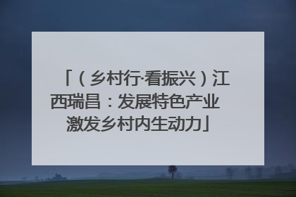 （乡村行·看振兴）江西瑞昌：发展特色产业 激发乡村内生动力