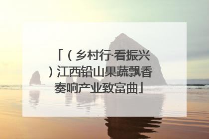 （乡村行·看振兴）江西铅山果蔬飘香 奏响产业致富曲