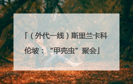 （外代一线）斯里兰卡科伦坡：“甲壳虫”聚会