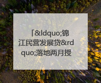 “锦江民营发展贷”落地两月授信1.7亿元，惠及118家民企