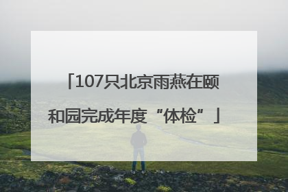 107只北京雨燕在颐和园完成年度“体检”