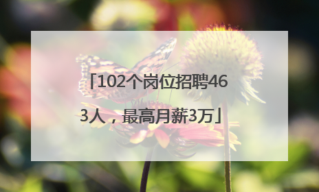 102个岗位招聘463人，最高月薪3万