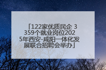 122家优质民企 3359个就业岗位2025年西安-咸阳一体化发展联合招聘会举办