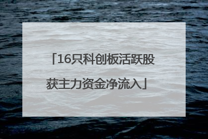 16只科创板活跃股获主力资金净流入