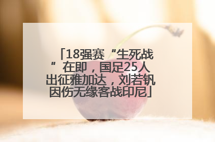 18强赛“生死战”在即，国足25人出征雅加达，刘若钒因伤无缘客战印尼