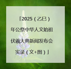 2025（乙巳）年公祭中华人文始祖伏羲大典新闻发布会实录（文+图）