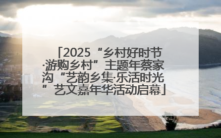 2025“乡村好时节·游购乡村”主题年蔡家沟“艺韵乡集·乐活时光”艺文嘉年华活动启幕