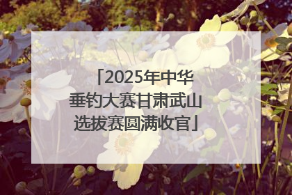 2025年中华垂钓大赛甘肃武山选拔赛圆满收官