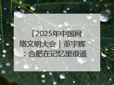 2025年中国网络文明大会｜董宇辉：合肥在记忆里很遥远也很亲切