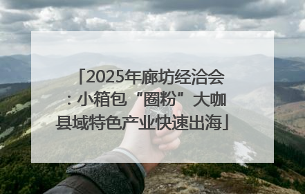 2025年廊坊经洽会：小箱包“圈粉”大咖 县域特色产业快速出海