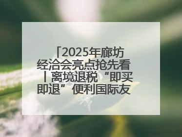 2025年廊坊经洽会亮点抢先看丨离境退税“即买即退”便利国际友人“买买买”
