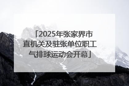 2025年张家界市直机关及驻张单位职工气排球运动会开幕